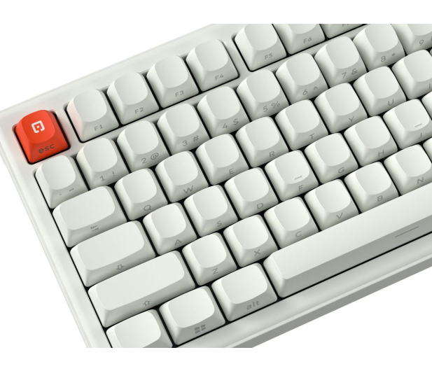 SMX Kishu Honey Switch Lumos white SMXG050 - 1417238 - zdjęcie 10